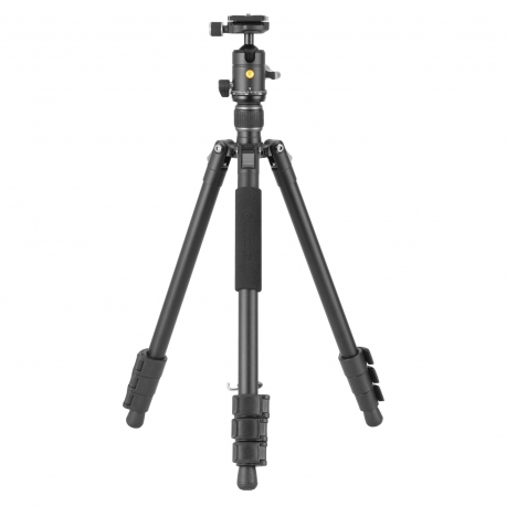 VANGUARD - VESTA GO 234AB