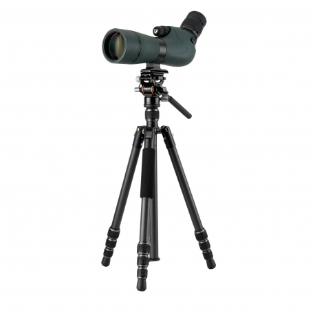 VANGUARD - VESTA GO 234CV10 - trépied Carbone tête video